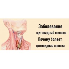 Заболевание щитовидный железы. Почему болеет щитовидная железа.