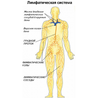 Лимфаденит.