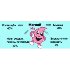 МАГНИЙ – ПОМОЩНИК ПРИ ПОТЕРЕ ВЕСА