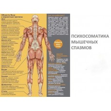 ПСИХОСОМАТИКА МЫШЕЧНЫХ СПАЗМОВ.